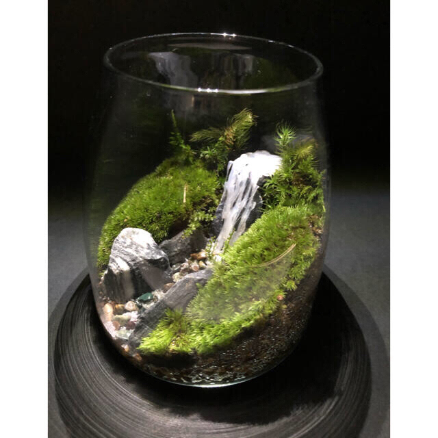苔テラリウム 滝 Ledライトつきの通販 By Koke Bu S Shop ラクマ 苔テラリウム 滝 Ledライトつきの通販 By Koke Bu S Shop ラクマ