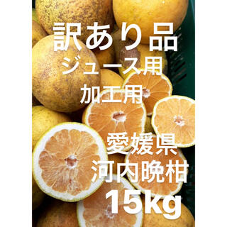 訳あり品　愛媛県　宇和ゴールド　河内晩柑　加工用　ジュース用　15kg(フルーツ)