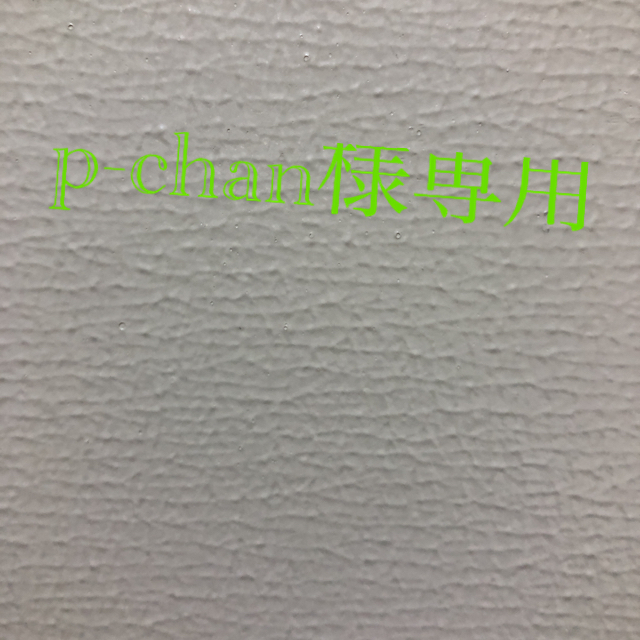 p-chan様専用 【NEW限定品】 digitaldetoxdestination.de
