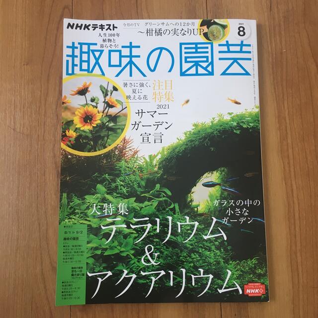 NHK 趣味の園芸 2021年 08月号 エンタメ/ホビーの雑誌(専門誌)の商品写真