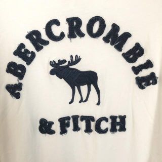 アバクロンビーアンドフィッチ(Abercrombie&Fitch)の専用　　　ABERCROMBIE Tシャツ(Tシャツ/カットソー(半袖/袖なし))