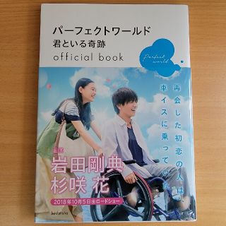 コウダンシャ(講談社)のパーフェクトワールド君といる奇跡ｏｆｆｉｃｉａｌ　ｂｏｏｋ(アート/エンタメ)