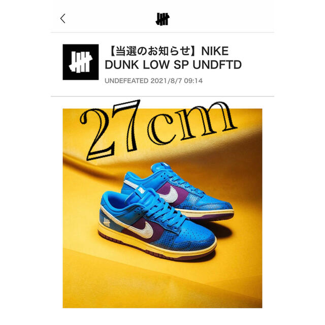 UNDEFEATED NIKE DUNK LOW 27cm