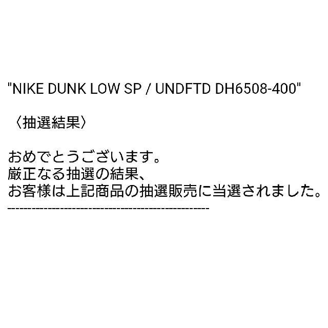 NIKE(ナイキ)のNIKE DUNK LOW SP / UNDFTD - DH6508-400 メンズの靴/シューズ(スニーカー)の商品写真