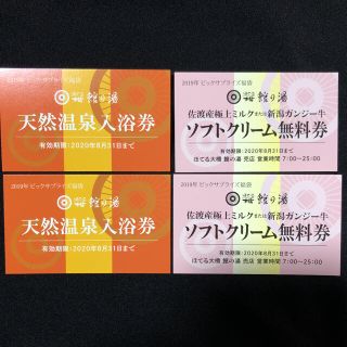 新潟県岩室温泉　ほてる大橋　日帰り温泉入浴券&ソフト券(その他)