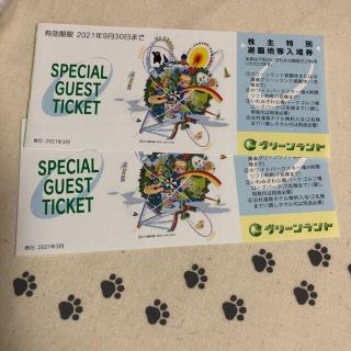 2枚　グリーンランド　株主優待券(遊園地/テーマパーク)