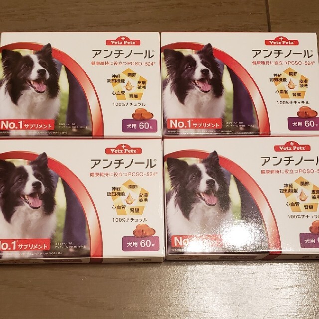アンチノール60粒×4箱犬