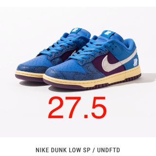 ナイキ(NIKE)のNIKE ナイキ　DUNK LOW SP UNDFTD (スニーカー)