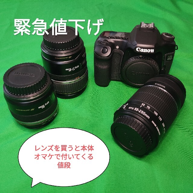 CANON EOS 40D レンズ３本付き　すぐ撮影できます