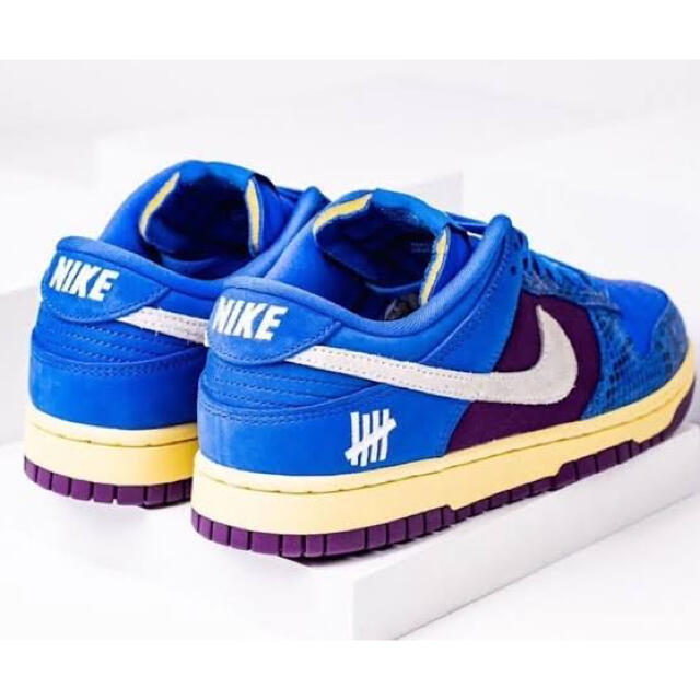 NIKE DUNK LOW SP / UNDFTD - DH6508-400