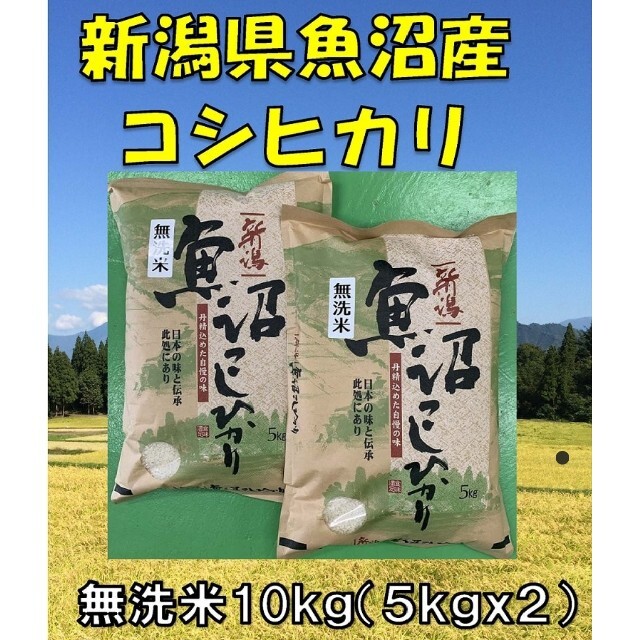 米/穀物　無洗米　元年産　5kgｘ2　10kg　コロナ支援！魚沼産コシヒカリ　送料無料