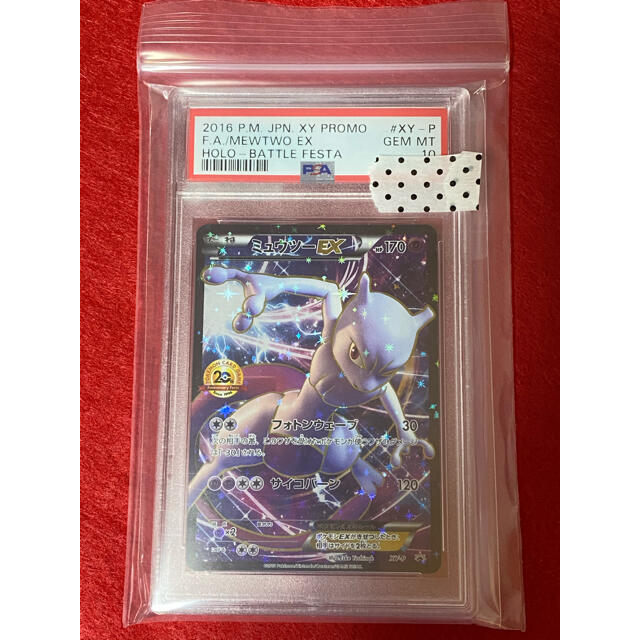 クリスマスファッション ポケモン アニバーサリーフェスタ)[PKM_XY-P