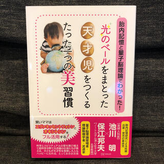 胎内記憶と量子脳理論でわかった！光のベールをまとった天才児をつくるたった一つの美(結婚/出産/子育て)