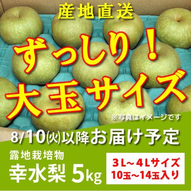 幸水梨５kg★秀品大玉・8月10日以降にお届け予定 食品/飲料/酒の食品(フルーツ)の商品写真