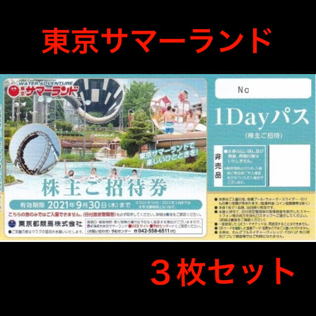 サマーランド チケット 1Day￼パス ご招待券