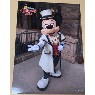 ディズニー(Disney)のディズニースペシャルフォト　2018(写真)