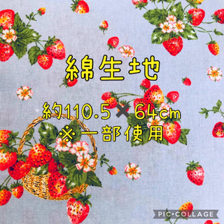生地 綿 コットン はぎれ かわいい生地 イチゴ いちご 苺 バスケット(生地/糸)