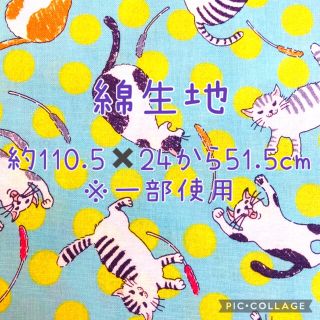 生地 綿 コットン はぎれ かわいい生地 猫 ねこ ネコ 猫柄生地 ネコ柄生地(生地/糸)