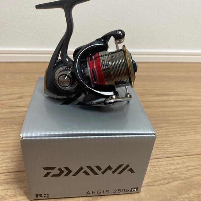 DAIWA(ダイワ)の13イージス　ダイワ スポーツ/アウトドアのフィッシング(リール)の商品写真