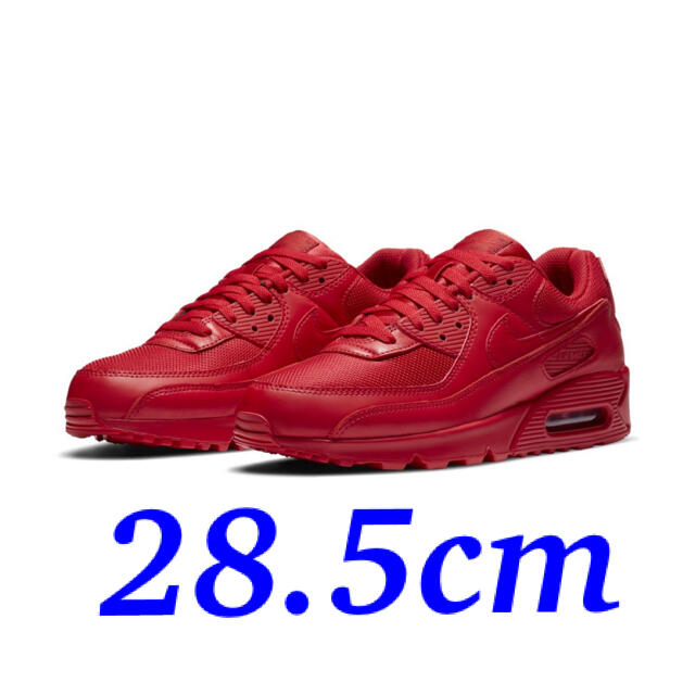 AIR MAX 90 : 28.5cm