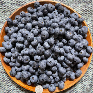 専用‼️北海道産 ブルーベリー 無農薬 1kg 送料込 フルーツ ふるさと 果物(フルーツ)