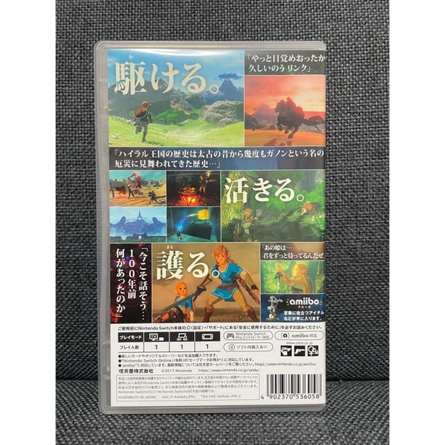 ゼルダの伝説 ブレス オブ ザ ワイルド Switch