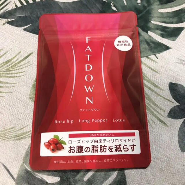 FATDOWN ファットダウン LAVA