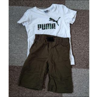 プーマ(PUMA)のPUMAとreorのtシャツと半ズボン(Tシャツ/カットソー)