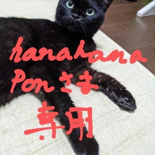 黒猫ろんと暮らしたら　(その他)