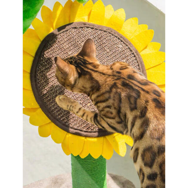 ひまわり 爪とぎ 猫の爪とぎ キャット爪とぎ 向日葵 ねこの暮らし 猫用爪とぎ お花と戯れるねこちゃんが可愛いひまわりの爪とぎ