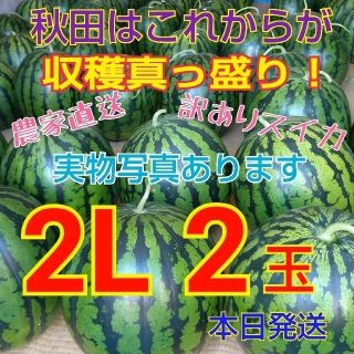 ②訳あり 糖度12度以上 秋田 農家直送スイカ 西瓜 キズ むら 2Lサイズ2玉(野菜)