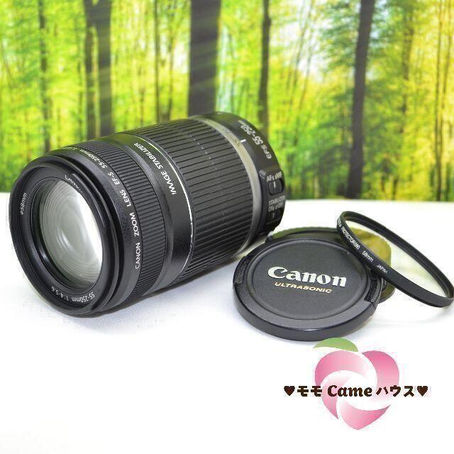 カメラ レンズ(ズーム) Canon - キャノン望遠レンズ☆EF-S 55-250mm手ブレ補正つき☆1766-1の 