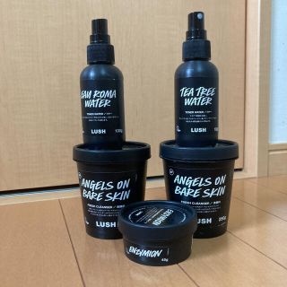 ラッシュ(LUSH)のLUSH空箱　5点セット(パック/フェイスマスク)