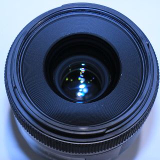 シグマ(SIGMA)のSIGMA 30mm f1.4 EF ブラックミストNo.05各種フィルター(レンズ(単焦点))