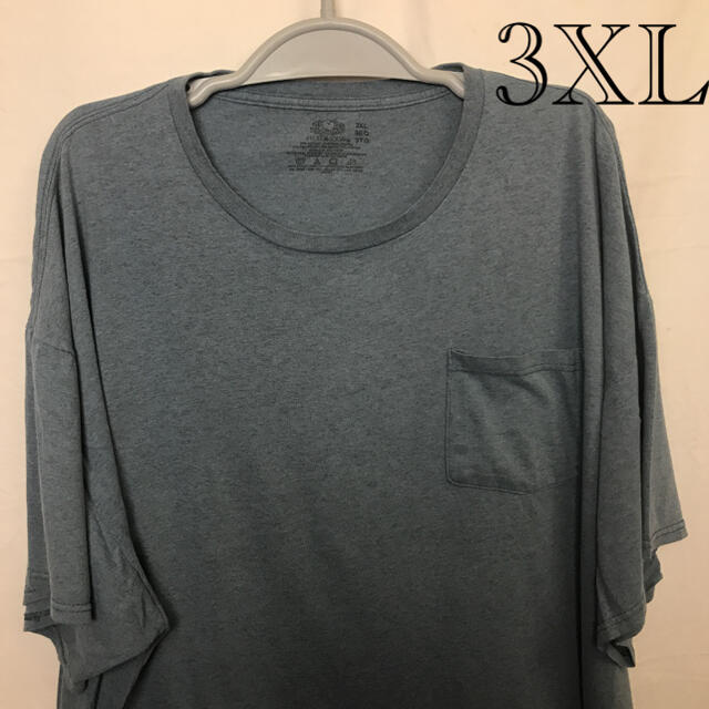 フルーツ＆ルームＴシャツ 3XL メンズのトップス(Tシャツ/カットソー(半袖/袖なし))の商品写真