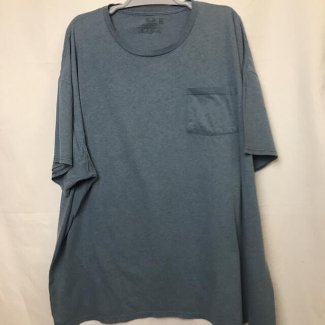 フルーツ＆ルームＴシャツ 3XL メンズのトップス(Tシャツ/カットソー(半袖/袖なし))の商品写真