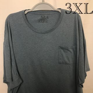 フルーツ＆ルームＴシャツ 3XL(Tシャツ/カットソー(半袖/袖なし))