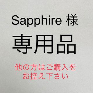 Sapphire様専用 指輪 4mm幅　22号　シルバー ネコポス便発送(リング(指輪))