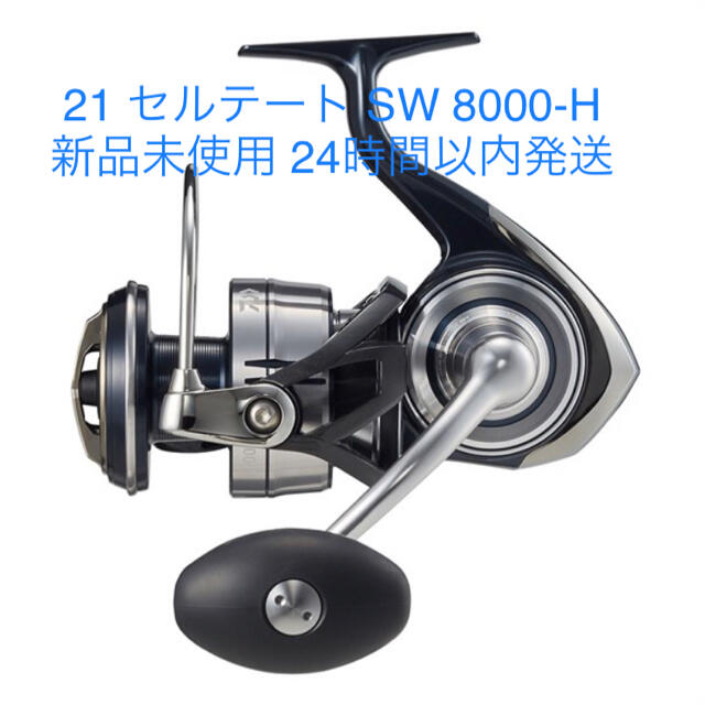 新品未使用 ダイワ DAIWA 21セルテート SW 8000-H 2021