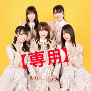 ケヤキザカフォーティーシックス(欅坂46(けやき坂46))の日向坂46 関連商品【専用出品】(その他)