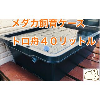 麦飯石6キロ付き メダカ飼育ケース【トロ舟40リットル】の通販