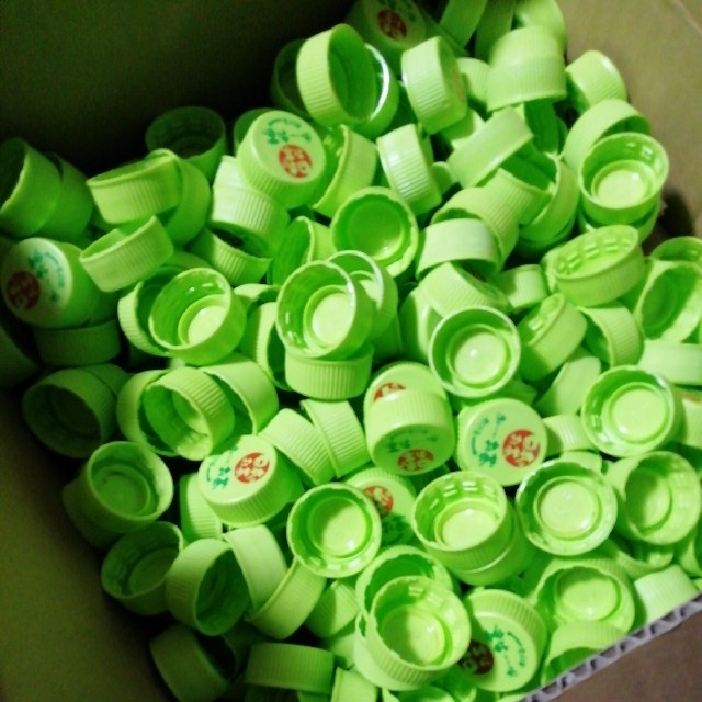 伊藤園(イトウエン)のペットボトルのキャップ100個 グリーン　お～いお茶 ハンドメイドの素材/材料(各種パーツ)の商品写真