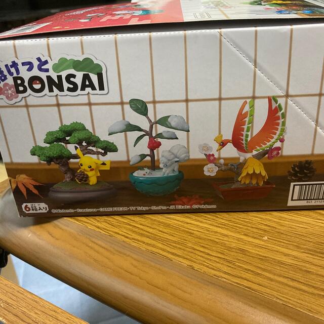 ポケモン(ポケモン)のぽけっとBONSAI☆未開封ポケモン エンタメ/ホビーのフィギュア(アニメ/ゲーム)の商品写真