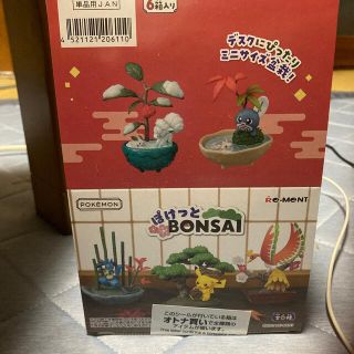 ポケモン(ポケモン)のぽけっとBONSAI☆未開封ポケモン(アニメ/ゲーム)