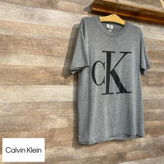 カルバンクライン(Calvin Klein)のCalvin Klein Tシャツ(Tシャツ/カットソー(半袖/袖なし))