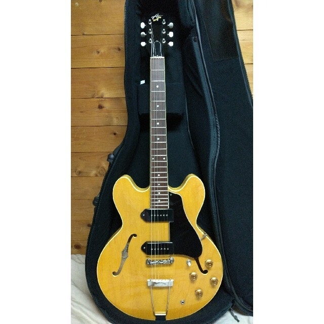 Archtop Tribute AT130(Natural)
