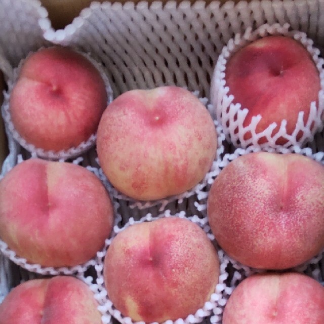 あかつき🍑5キロラクマ便常温発送 食品/飲料/酒の食品(フルーツ)の商品写真