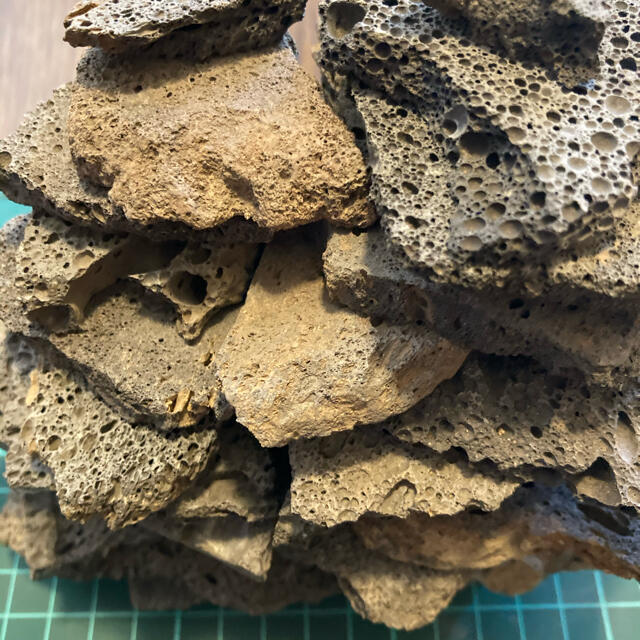 溶岩石プレート 1kg＋ 水草2種類ﾌﾟﾚｾﾞﾝﾄ その他のペット用品(アクアリウム)の商品写真