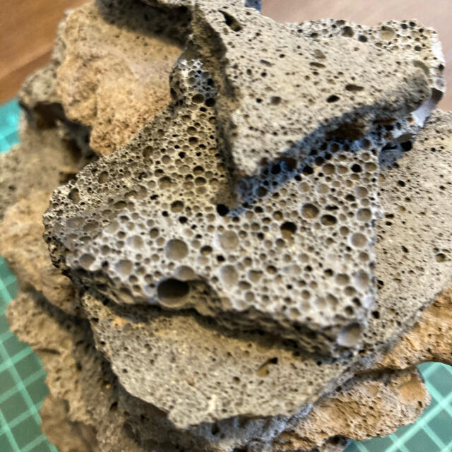 溶岩石プレート 1kg＋ 水草2種類ﾌﾟﾚｾﾞﾝﾄ その他のペット用品(アクアリウム)の商品写真