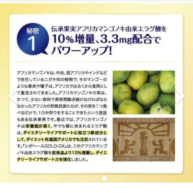 ダイエット シボヘール by あき's shop｜ラクマ ゴールド 60粒×10袋の通販 シリーズ
